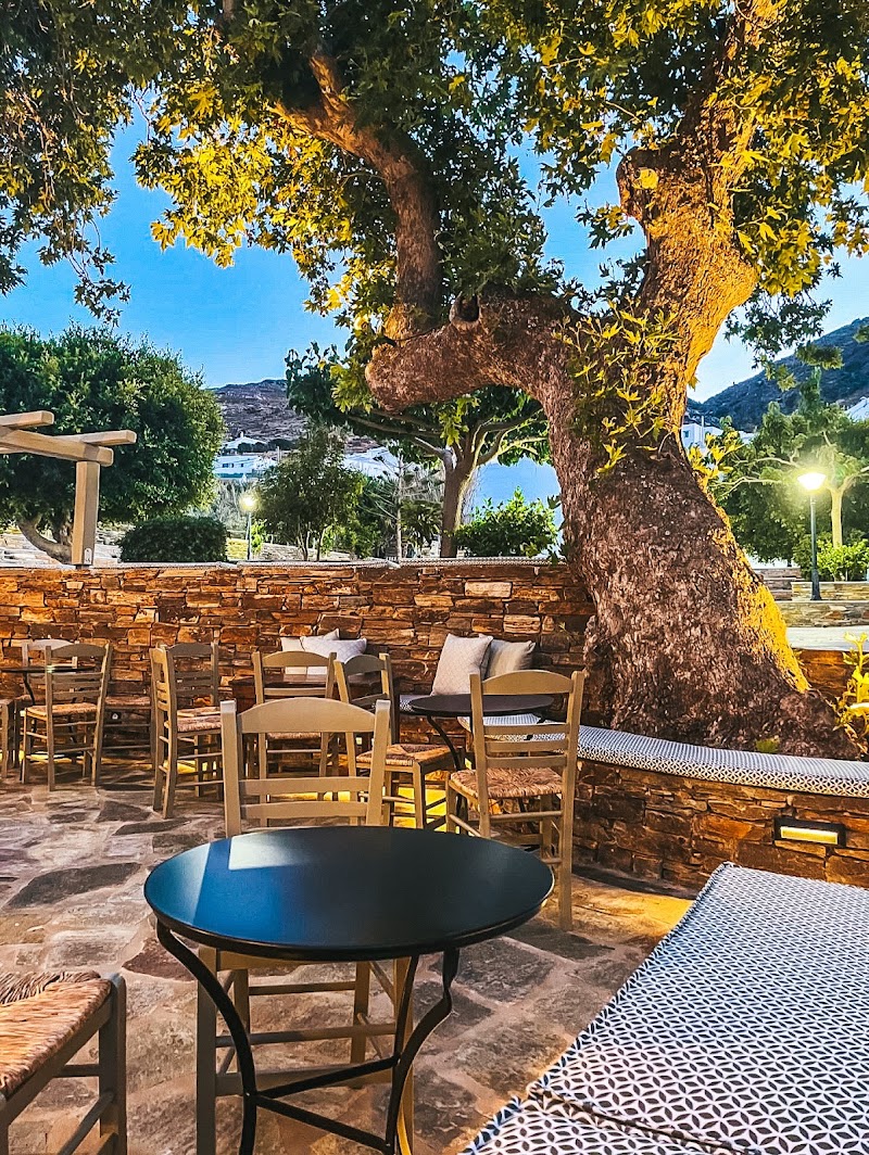 Veggera Kalloni Tinos — Εστιατόρια Τήνος (1/8)