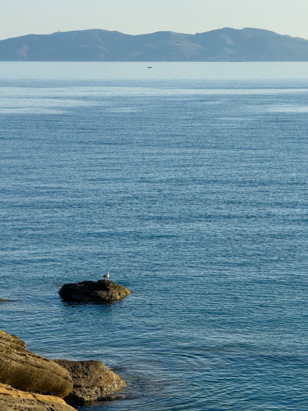 Δωμάτιο 7 - Premium Suite - 17