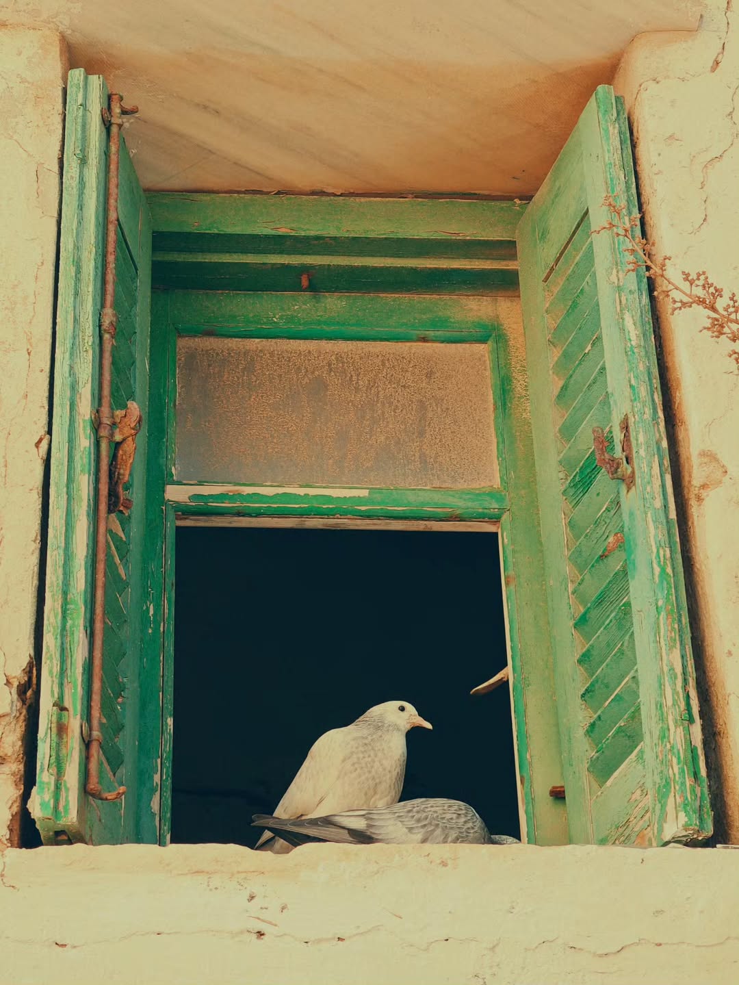 Ιστέρνια Τήνου - μαρμάρινη αρχιτεκτονική