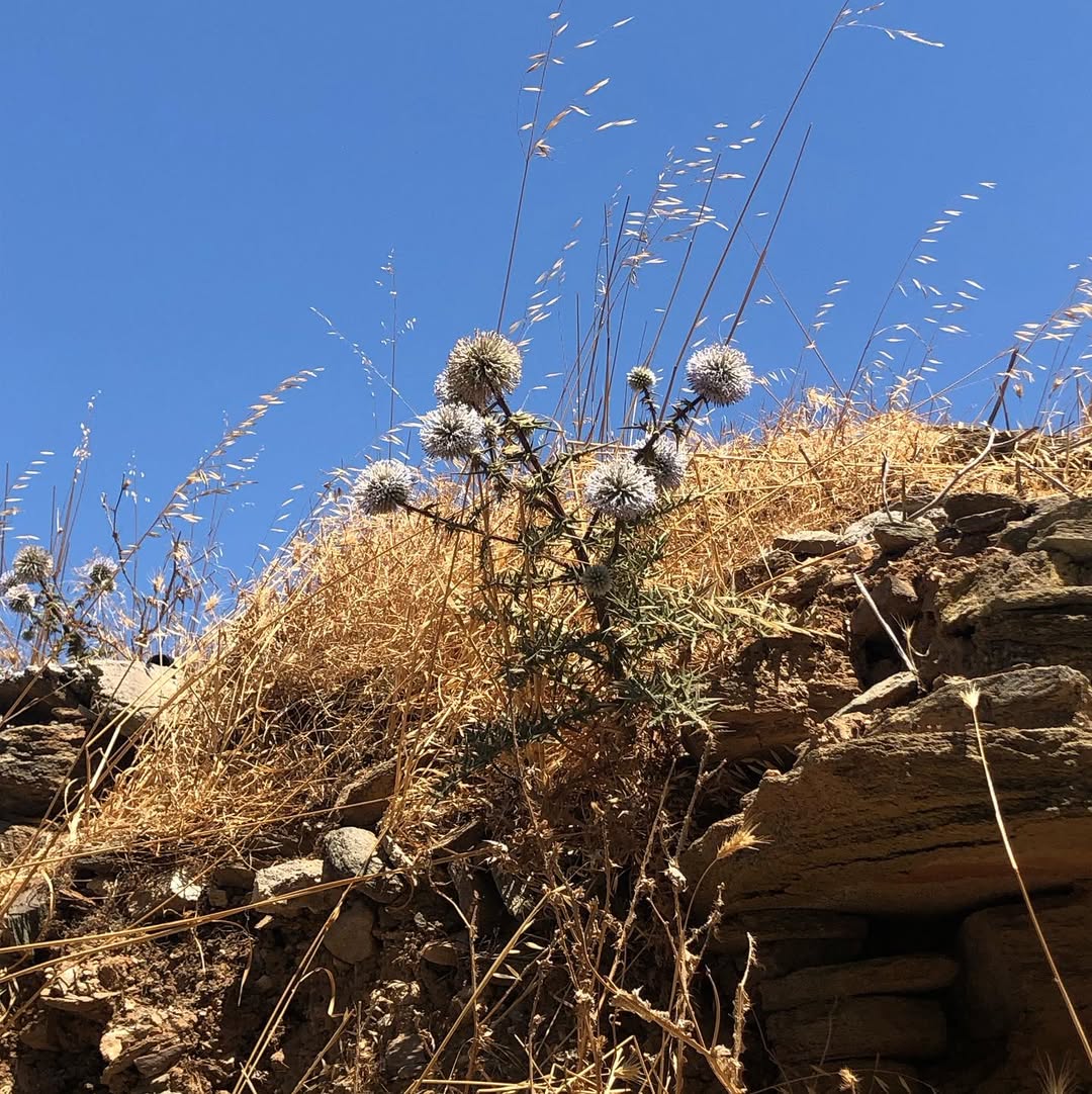Ταραμπάδος - Φωτογραφία 7