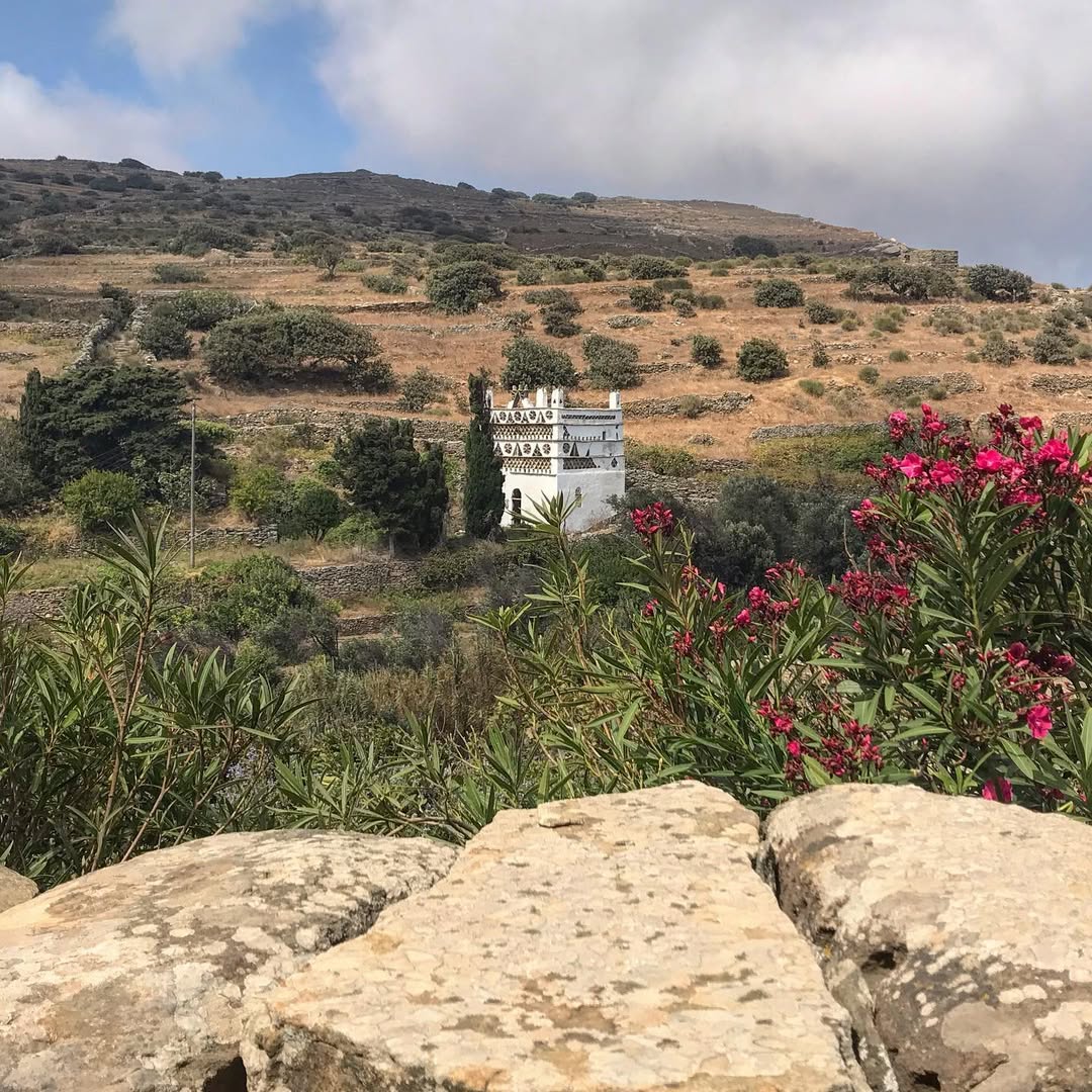 Ταραμπάδος περιστερώνες