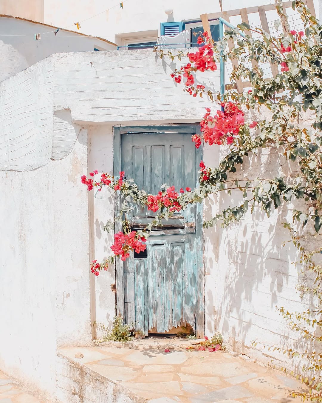 Triandaros - Photo 3