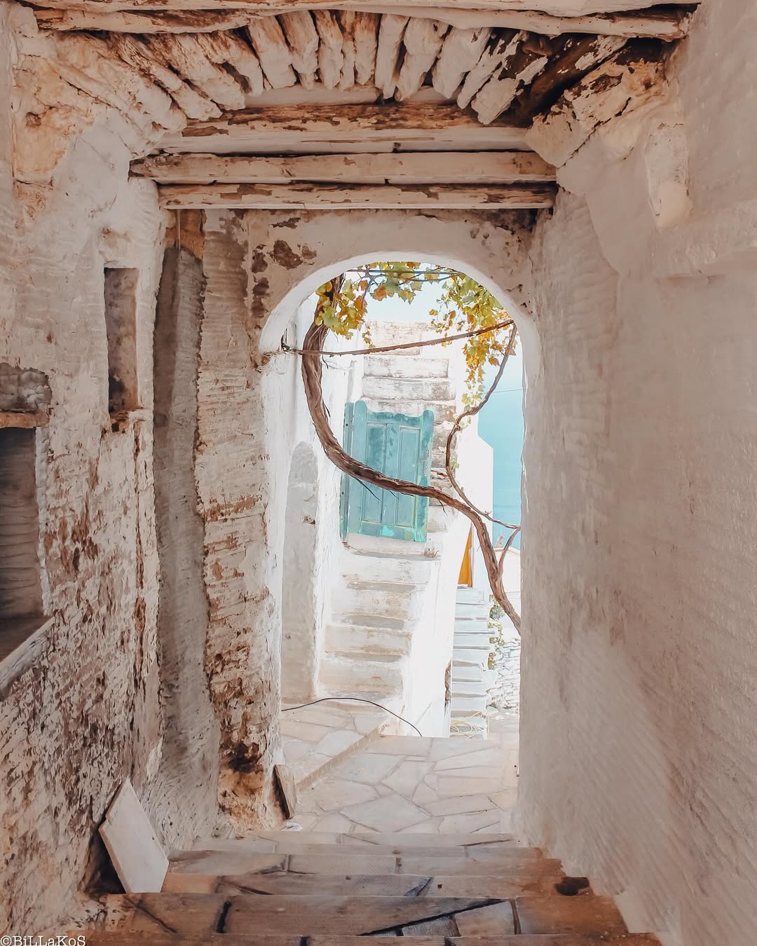 Triandaros - Photo 7